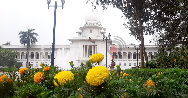 সরকারের পলিসি ডিসিশনে আদালতের নাক গলানো উচিত নয়: হাইকোর্ট