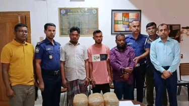ভোলার লালমোহনে গাঁজা ও ইয়াবাসহ আটক ৩