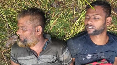 রাজবাড়ীতে গরুবোঝাই ট্রাক উল্টিয়ে  দুই গরু ব্যবসায়ী  নিহত