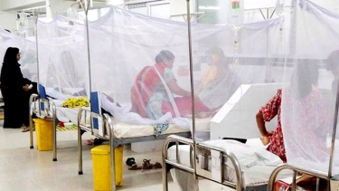 ২৪ ঘণ্টায় ডেঙ্গু আক্রান্ত ২৪৪ রোগী  হাসপাতালে ভর্তি