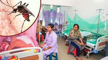 ডেঙ্গুতে আক্রান্ত হয়ে একদিনে হাসপাতালে ভর্তি আড়াই শতাধিক, নেই মৃত্যু