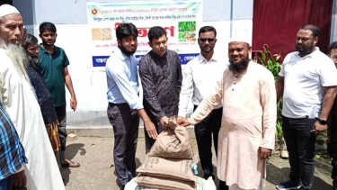 লালমোহনে কৃষকদের মাঝে বিনামূল্যে সার-বীজ বিতরণ কর্মসূচীর উদ্বোধন