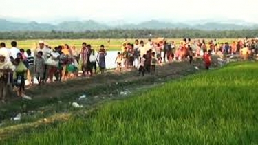 রোহিঙ্গা ইস্যুতে কূটনৈতিক মিশনগুলোর যৌথ বিবৃতি