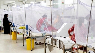 ডেঙ্গুতে একদিনে সর্বোচ্চ রোগী ভর্তি, ২ জনের মৃত্যু