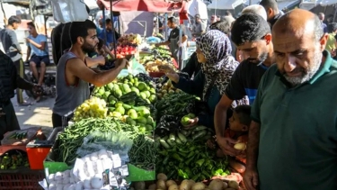 খান ইউনিসে পুনরায় চালু হয়েছে বাজার, তাজা খাবার কিনছেন গাজাবাসি