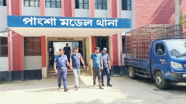 রাজবাড়ীতে র‍্যাব পরিচয়ে মুরগিবোঝাই পিকআপ ডাকাতি, গ্রেফতার দুই