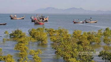 টেকনাফে আরও ১৩ জেলেকে ধরে নিয়ে গেল আরাকান আর্মি