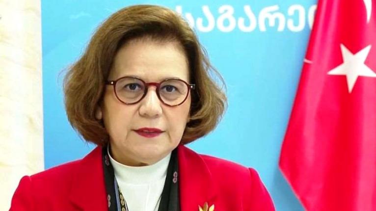 শপথ অনুষ্ঠানে যোগ দিতে ঢাকা আসছে তুরস্ক সরকারের ৩ সদস্যের প্রতিনিধি দল