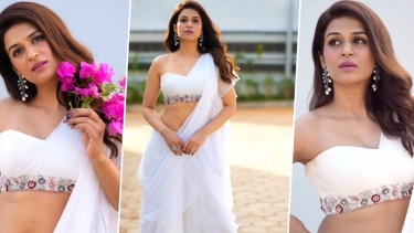 আমিও রাজনীতির শিকার হয়েছি, কেন বললেন অভিনেত্রী