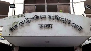 ২০ কুকুর হত্যায় ৩ জনের আড়াই বছর কারাদণ্ড