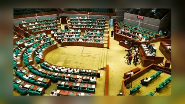 অন্তর্বর্তী সরকারের ১৩৩ অধ্যাদেশের কোনগুলো বাদ, আর কোনগুলো থাকছে