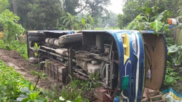 স্কুলছাত্রীকে বাঁচাতে  বাস উল্টে শিশুসহ আহত ২০