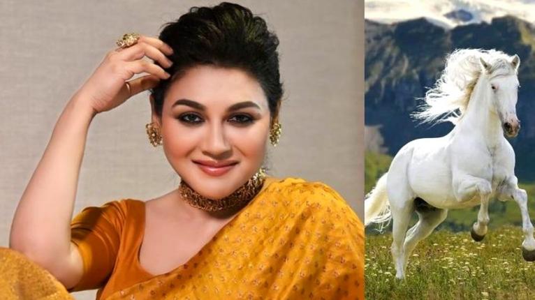 ঘোড়ার মাংসের বাণিজ্য নিষিদ্ধের দাবিতে জয়া আহসানের রিট