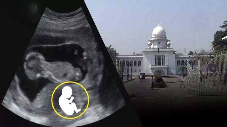 গর্ভের সন্তান ছেলে না মেয়ে, তা আর প্রকাশ করা যাবে না