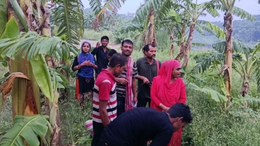 দর্শনা সীমান্তে ১১ জনকে পুশইনের চেষ্টা, বিজিবির তৎপরতায় প্রতিহত