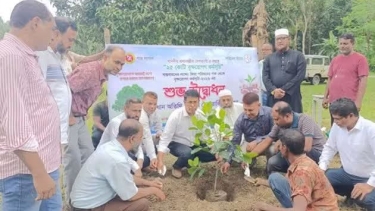 দর্শনা কেরু অ্যান্ড কোম্পানিতে বৃক্ষরোপণ কর্মসূচির উদ্বোধন: পরিবেশের ভারসাম্য রক্ষায় সবাইকে এগিয়ে আসার আহ্বান কেরু এমডি রাব্বিক হাসানের