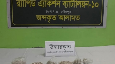 রাজবাড়ীতে  ৩লক্ষ টাকার উপরে হিরোইনসহ দুই নারী গ্রেফতার