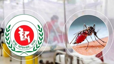 ডেঙ্গুতে আরও ৩ জনের মৃত্যু