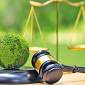 Constitutional environmental rights in South Asia