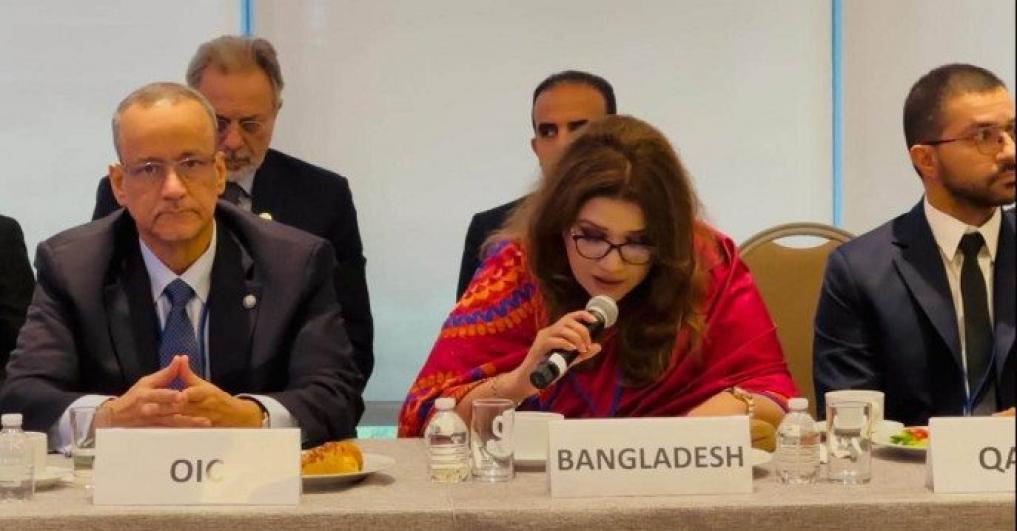 Shama Obaed Islam calls for AI safeguards in international mediation